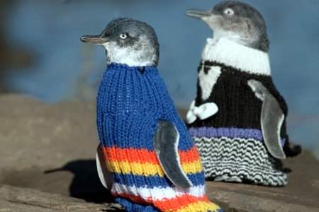 Свитерочки для пингвинов.
