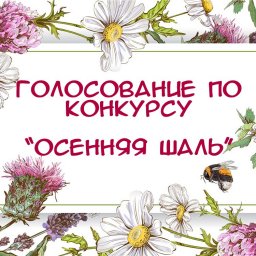 Голосование по конкурсу "Осенняя шаль"