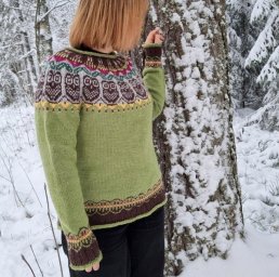 Свитер с кокеткой "Совы"