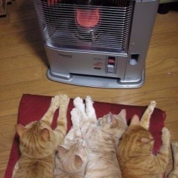 Творчество греет, но не всегда