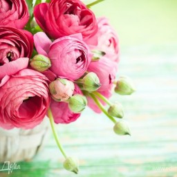 Чествуем активистов недели!