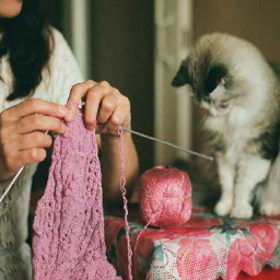 Совместник/сроки/участники