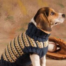 Вязаная одежка для братьев наших меньших