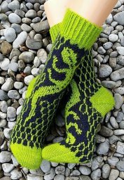 Носки с саламандрой