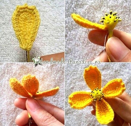 Космеи крючком Космеи крючком