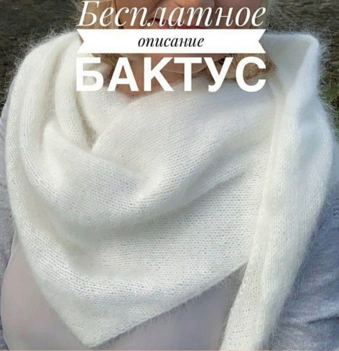 Бактус из ангоры Бактус из ангоры