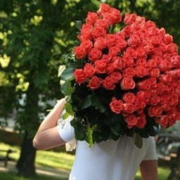 Чествуем активистов недели!