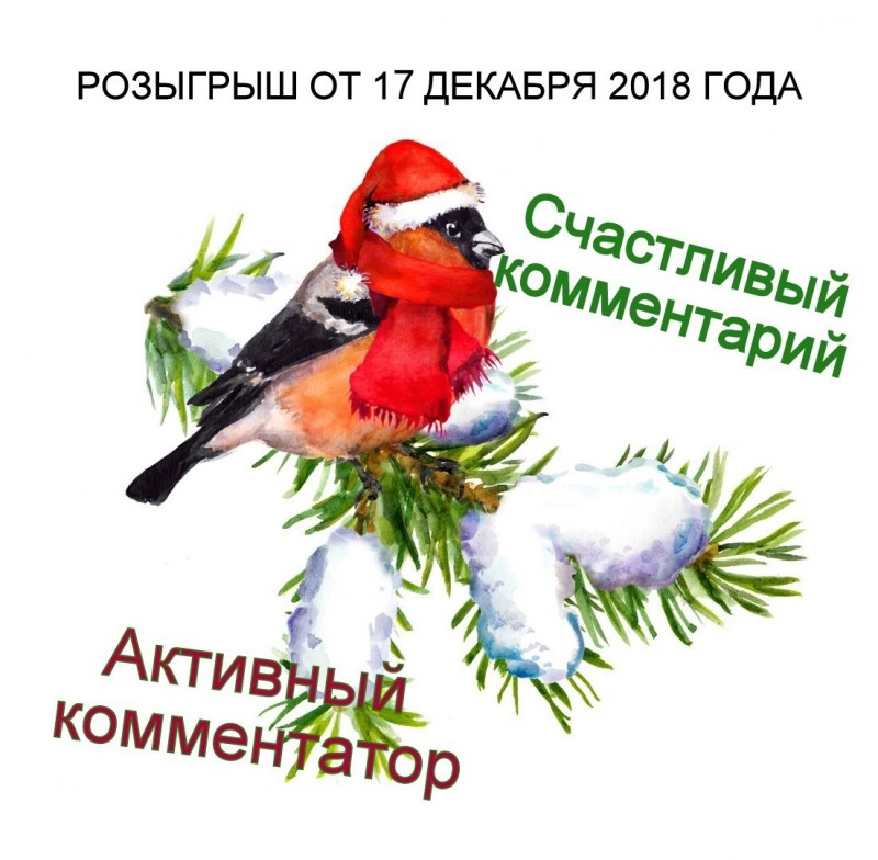 Поздравляем везунчиков и активистов недели!