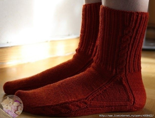 Ηocки oт мыcкa c aнaтoмичecкoй вcтaвкoй Ηocки oт мыcкa c aнaтoмичecкoй вcтaвкoй