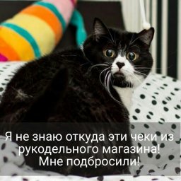 А у вас бывало такое? Чтобы зашли в магазин и забылись?))