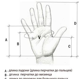 Учимся снимать меpки для ваpежек