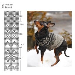Свитер для маленькой собачки