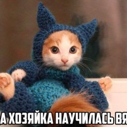 Как ваши питомцы относятся к вашему рукоделию?