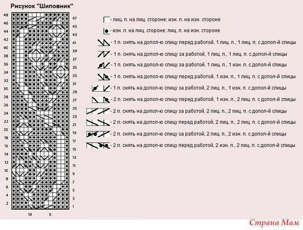 Жакет "RHODOMEL". Узор "ветки шиповника"