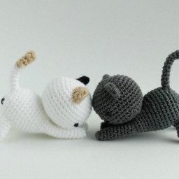 Пара игривых котят