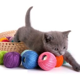 Полезные советы вязальщице