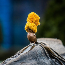 Белорусские памятники "оживили" вязаными аксессуарами