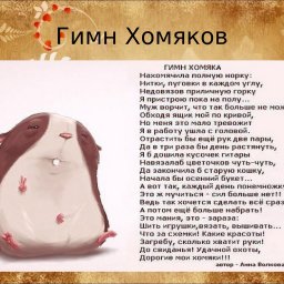 Гимн "хомяков", оказывается, он существует!