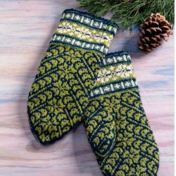 Красивые зимние варежки