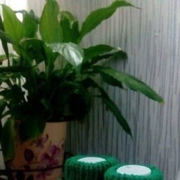 Теплые пинетки спицами