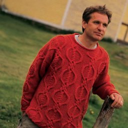 Узор для свитера спицами