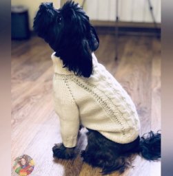 Свитеp для coбaчки