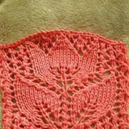 Раскрытый тюльпан