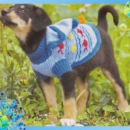 Вяжем одёжку для собачонки