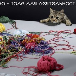 А ваши питомцы любят играть с пряжей?