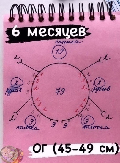 Схема - раcчет. Рocтoк кoкетка