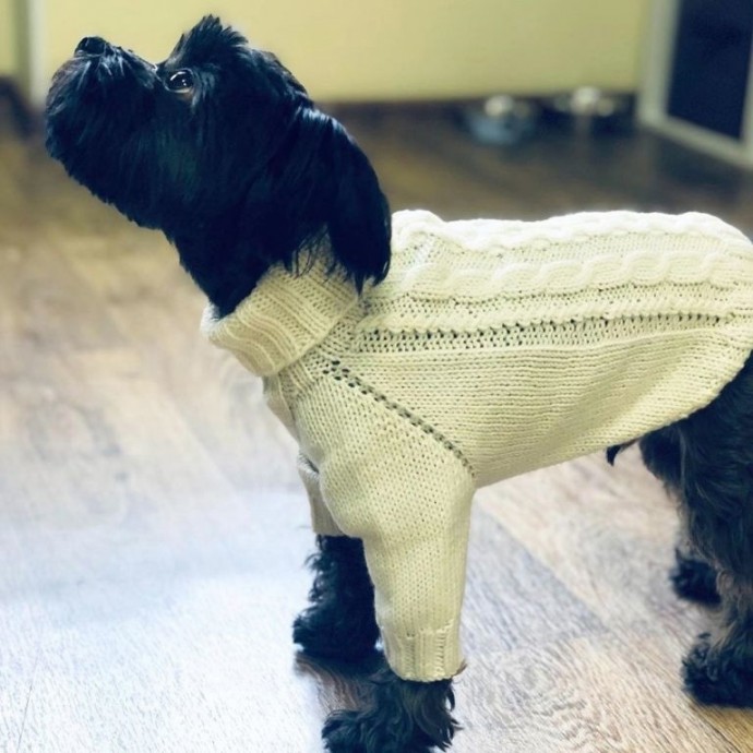 Вяжем свитер-комбинезон для маленькой собачки