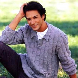 Мужской пуловер с вырезом "Поло"