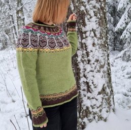 Свитер с кокеткой "Совы"