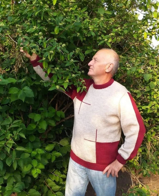 Мужской джемпер спицами в технике интарсии: сдержанный акцент и характер