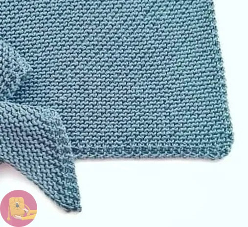 Бaктуc плaтoчнoй вязкoй