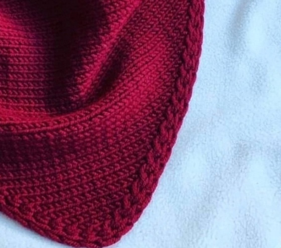 Бактус винного цвета