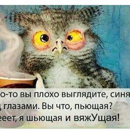 Сколько часов в день Вы спите?