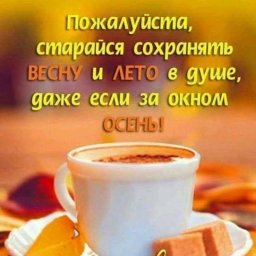 Доброго субботнего утра!