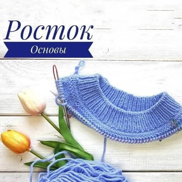 Основы ростка, познавательный урок Основы ростка, познавательный урок