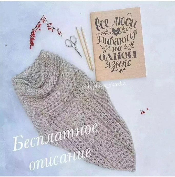 Снуд из Alize Lanagold 800