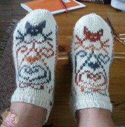 Очаровательные носочки для любителей котиков