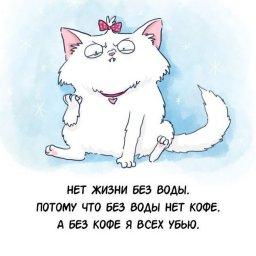 Из чего состоите Вы?