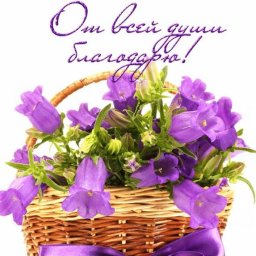 Благодарность от Рупп И.Л.