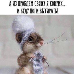 Как быть, когда проблем куча?