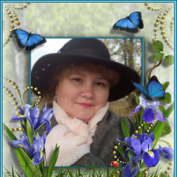 Активный комментатор недели!