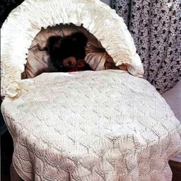 Плотный узор для вязаного пледа