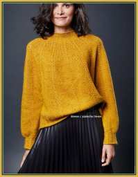 Джемпер с круглой кокеткой