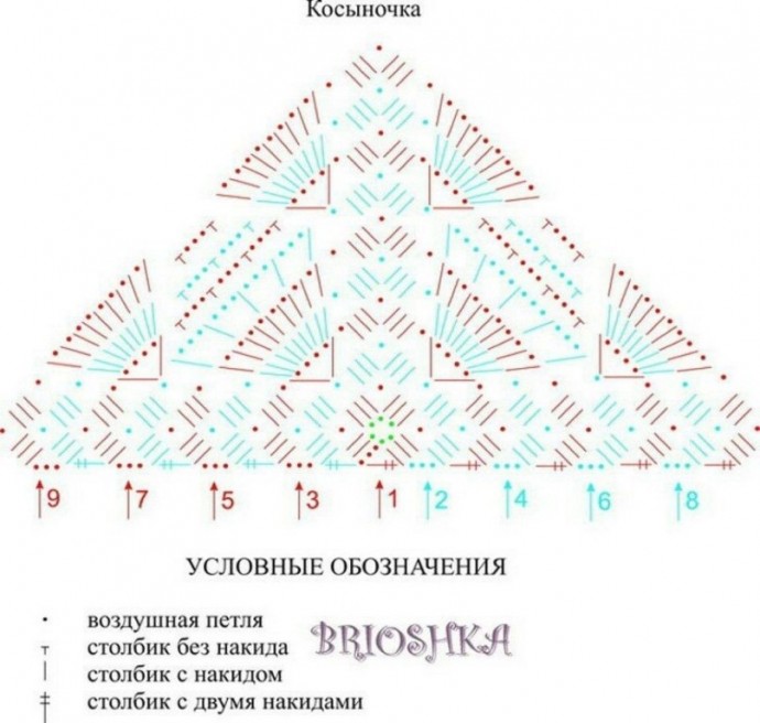 Яркий бактус Яркий бактус