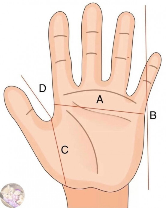 Вяжем двойные варежки спицами