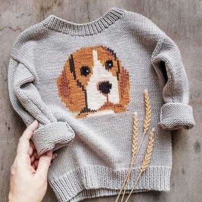 Идеи вязания детского свитера с собачкой